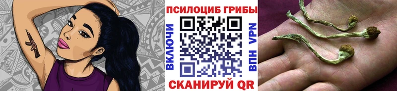 купить наркотик  Болхов  blacksprut онион  Псилоцибиновые грибы GOLDEN TEACHER 
